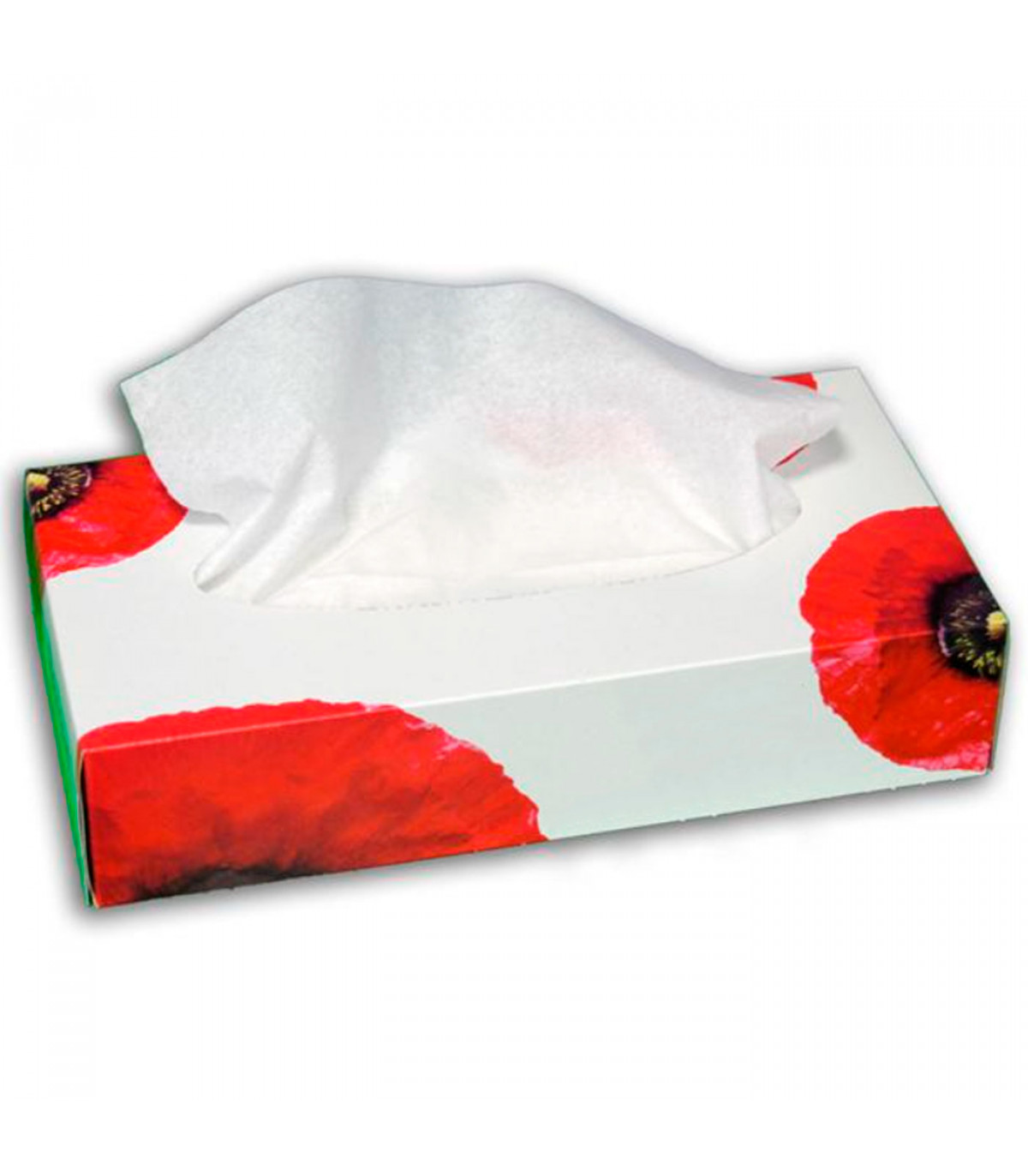 Tradineur - Caja de 80 pañuelos blancos de papel, doble capa