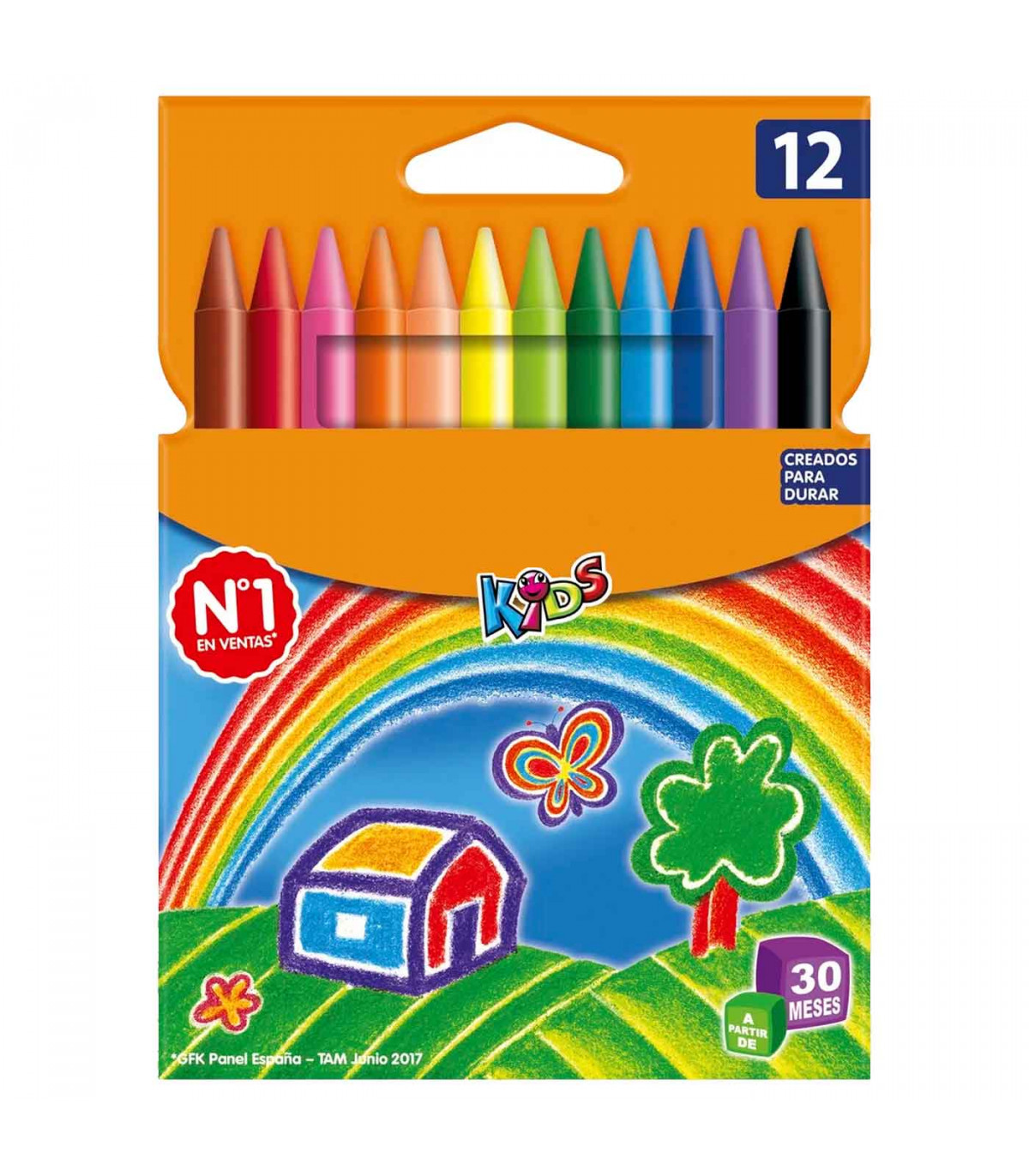 Tradineur - Caja de 12 lápices de colores - Forma hexagonal