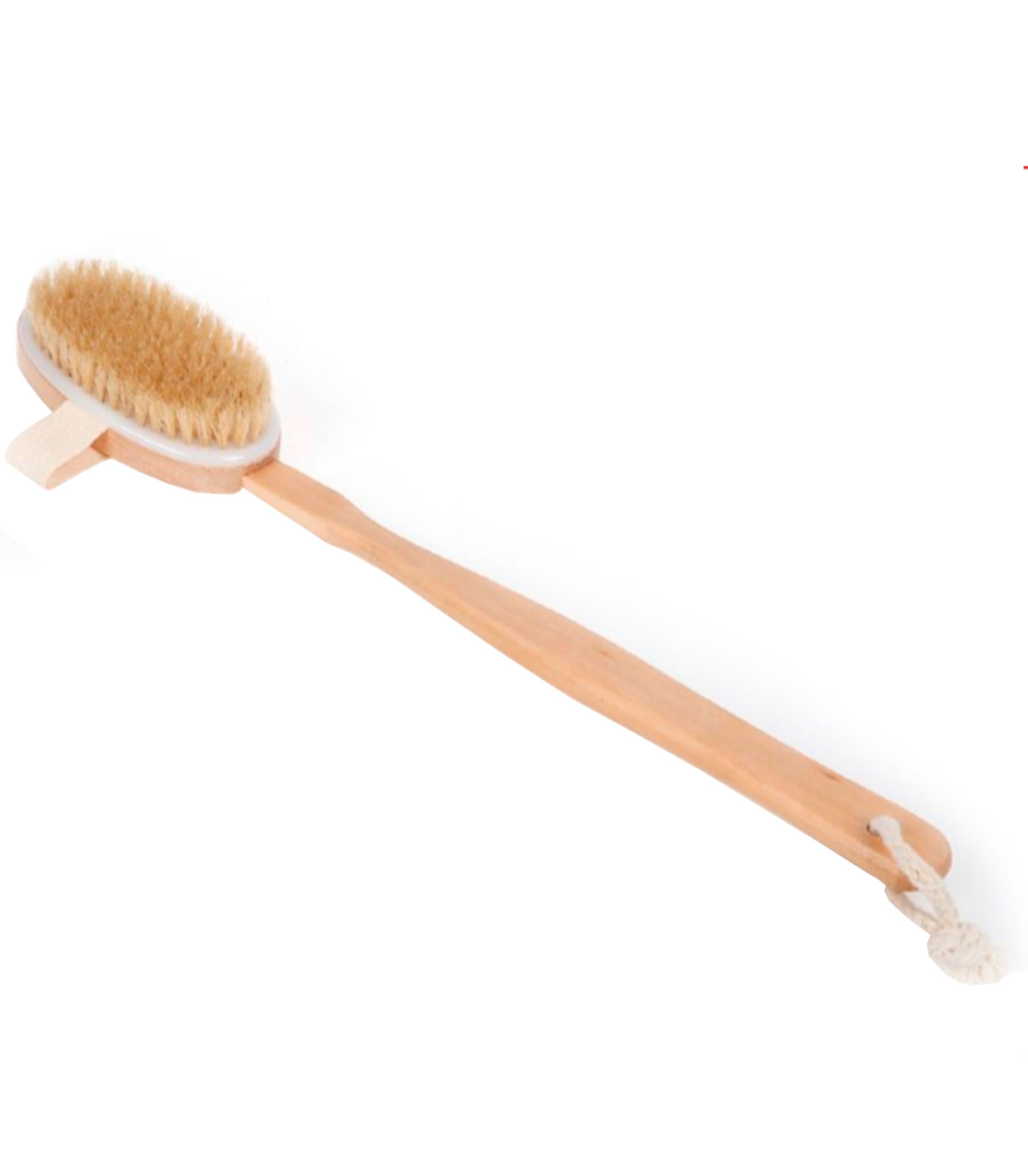Tradineur - Cepillo de ducha con mango de madera, cerdas naturales suaves,  cepillo para espalda, masaje o exfoliación de cuerpo