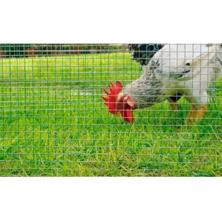 Malla Metálica Galvanizada 0,5x5m para Cercas Resistentes
