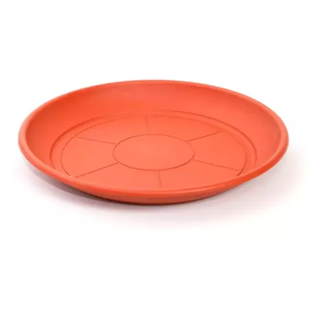 Pack 6 Platos Plástico Marrón para Macetas 20-25 cm Resistentes