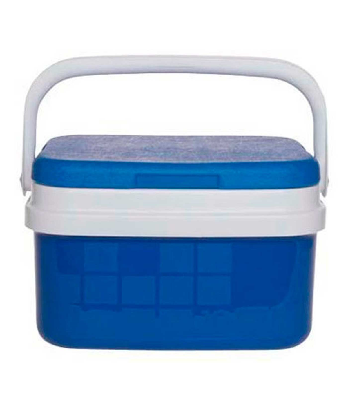 Nevera portátil con asa, 10 litros, polipropileno, porta alimentos para  playa, acampada, camping, 22 x 33 x 24 cm, color azul y