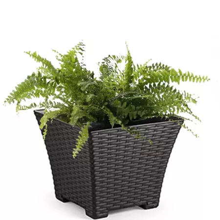 Tradineur - Maceta de plástico cuadrada Rattan, macetero, tiesto, recipiente para plantas, flores, balcón, terraza, jardín, 30,5