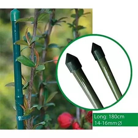 Tradineur - Tutor de bambú plastificado, varilla, guía para plantas, flores, tomates, caña de jardín, estaca para huerto (Verde,