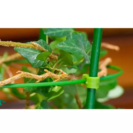 Tradineur - Tutor de bambú plastificado, varilla, guía para plantas, flores, tomates, caña de jardín, estaca para huerto (Verde,