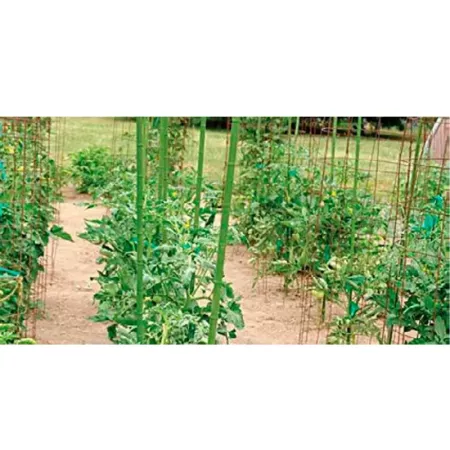Tradineur - Tutor de bambú plastificado, varilla, guía para plantas, flores, tomates, caña de jardín, estaca para huerto (Verde,