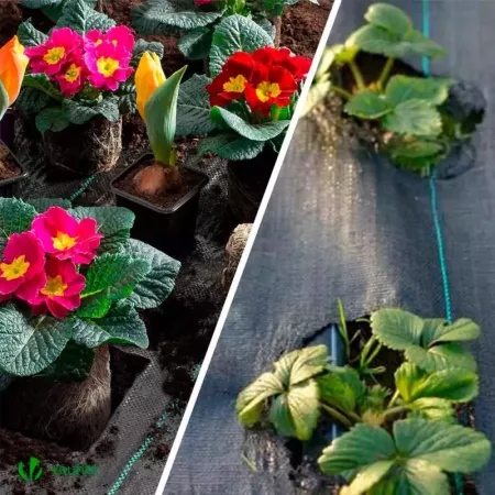 Malla Antihierbas 1x5m Resistente UV para Jardín y Huerto