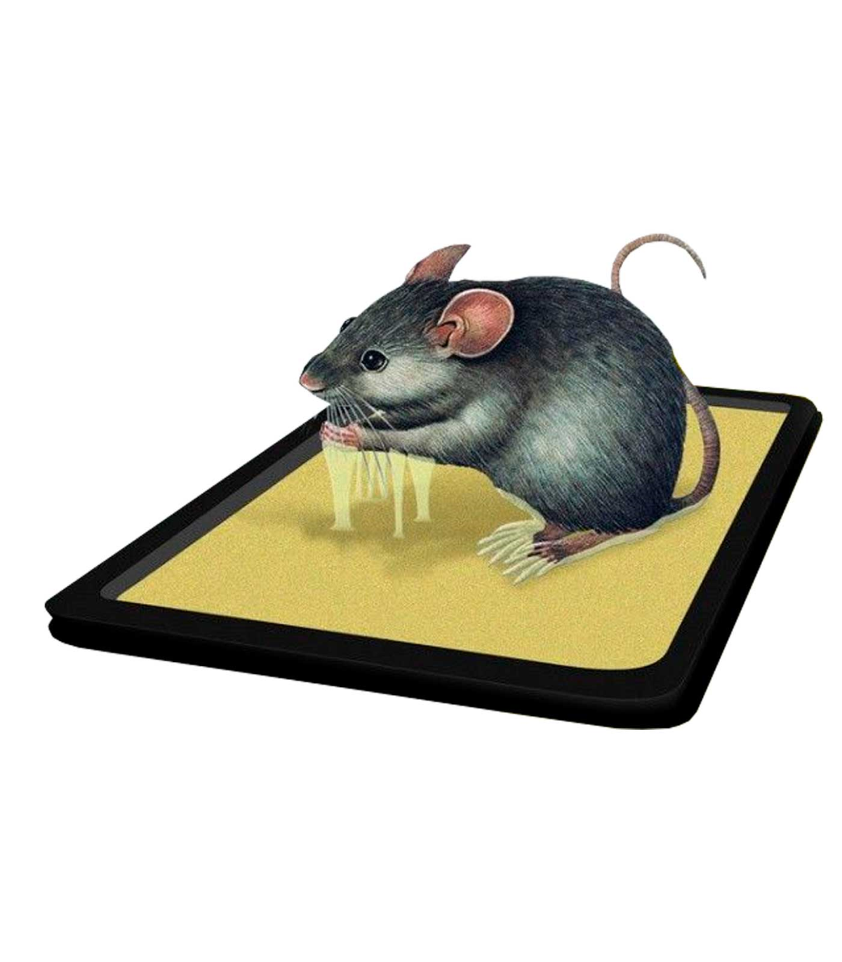 https://tradineur.com/87913-superlarge_default/tradineur--trampa-adhesiva-para-ratones-e-insecto--2-unidades--no-toxico--facil-colocacion.jpg