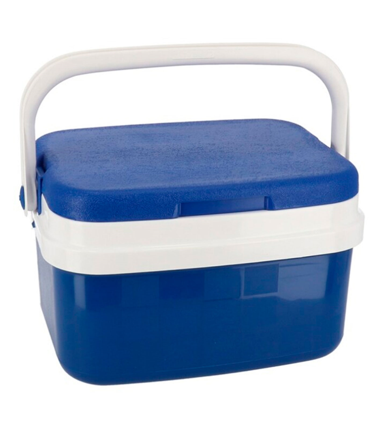 Nevera portátil con asa, polipropileno,porta alimentos para acampada, camping, 19 x 26 x 20 cm, color azul y bl