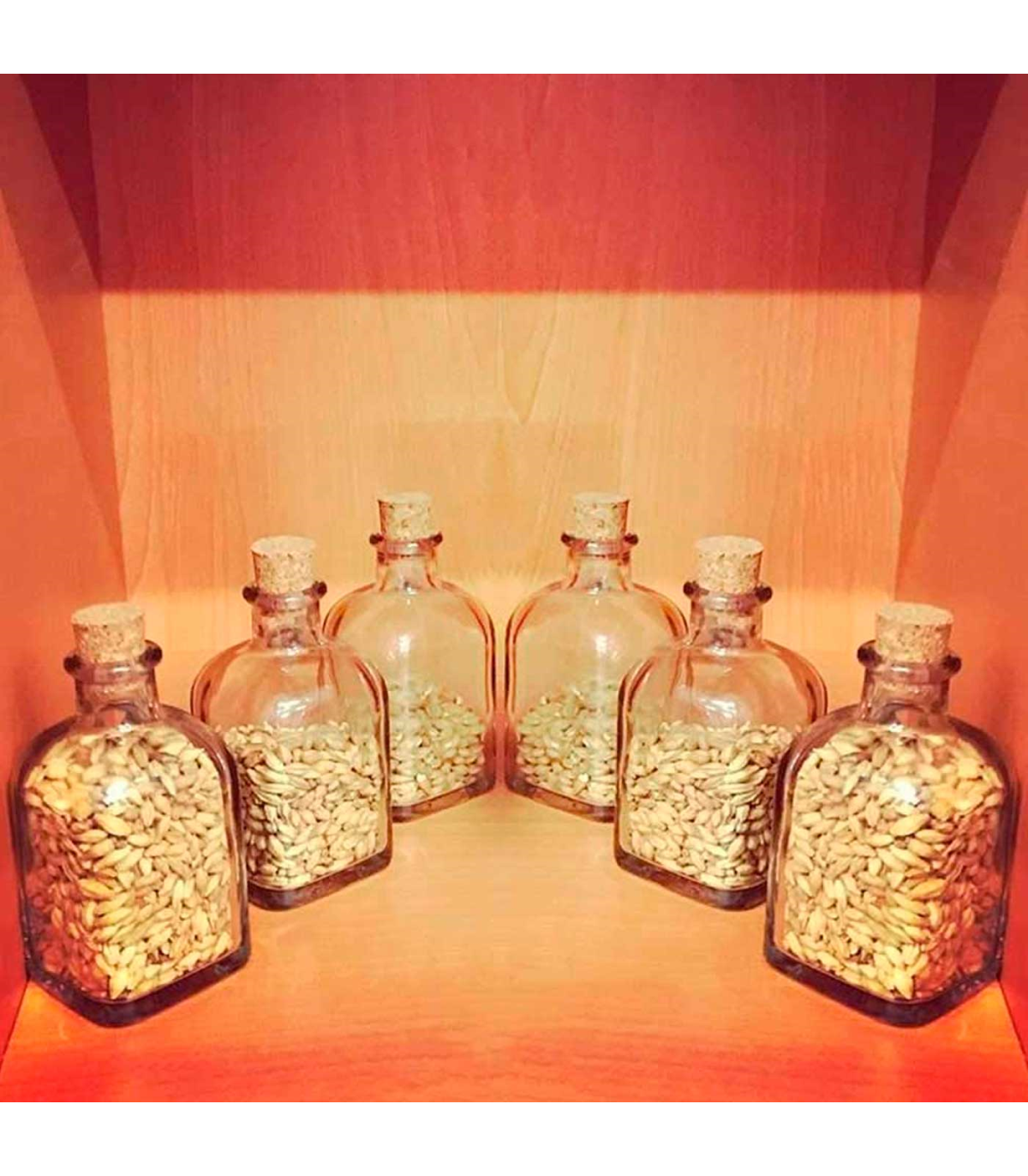 Tradineur - Pack de 6 botellas de cristal, frascas con tapón de corcho,  recargable, con diseño tradicional, capacidad 1 litro, l