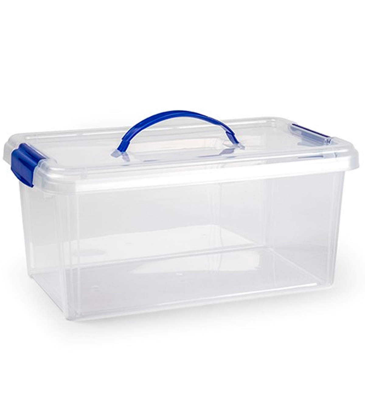 Tradineur - Pack de 4 cajas de almacenaje de plástico transparente