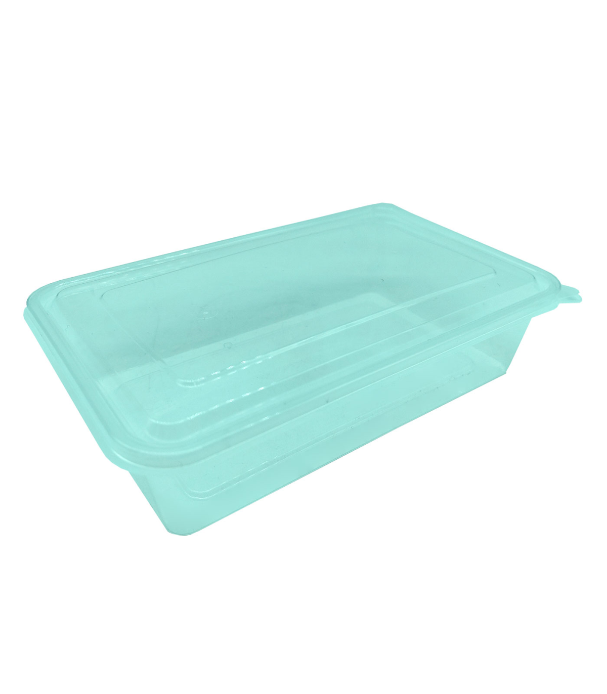 Tradineur - Recipiente transparente para fiambre Nº 2 - Fabricado en  Plástico - Almacenamiento de alimentos - Cierre Hermético 