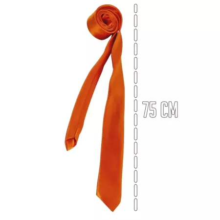 Tradineur - Corbata fina con longitud 75 cm - Fabricado en poliéster - Complemento para disfraces, carnaval, Halloween - Color N