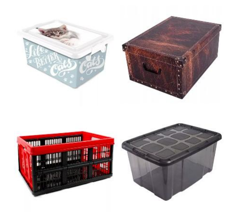 Imagen que contiene contenedorEl contenido generado por IA puede ser incorrecto.